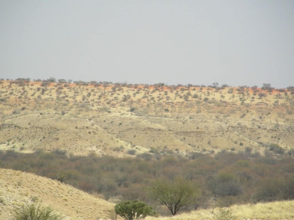 בתמונה: משקעי חול במדבר הקלהרי שבנמיביה. מטרת המחקר הייתה לתארך את הופעתם הראשונית בנוף כדי להבין את התזמון של תהליכי יצירת המדבר. צילום: שלומי ויינר.