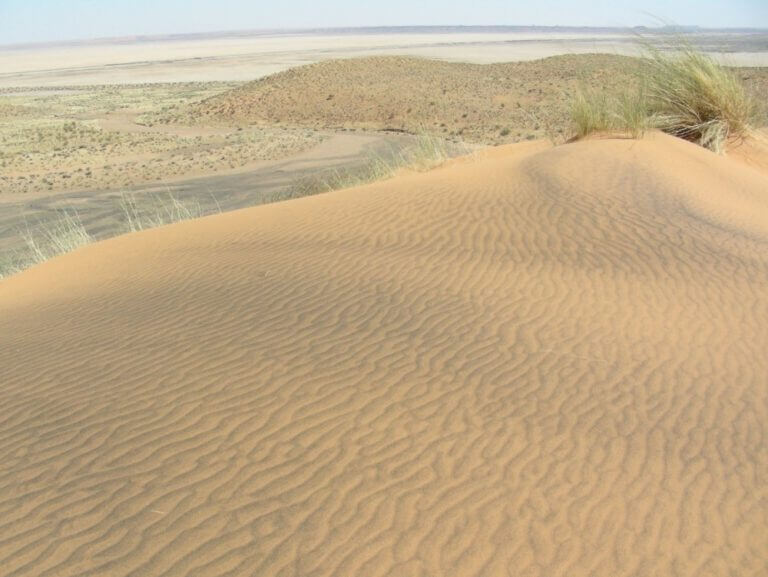 Pictured: Migratory sands in the Kalahari desert in South Africa. The measurements of the concentrations of the cosmogenic isotopes accumulated in them make it possible to date their appearance in the landscape. Photography - Ari Matmon