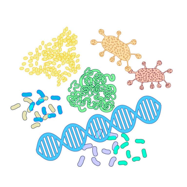 structures of different proteins. Illustration: depositphotos.com