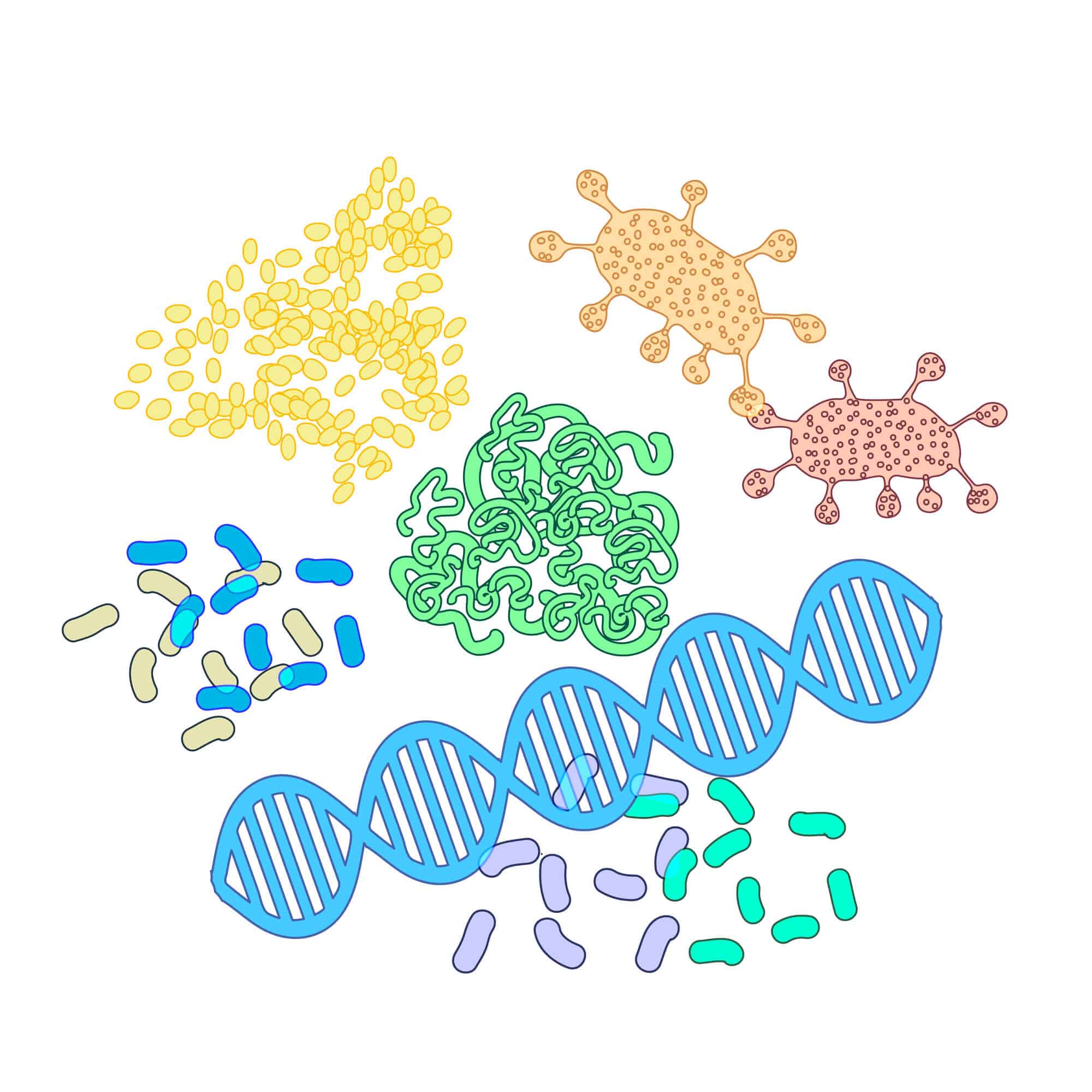 מבנים של חלבונים שונים.  <a href="https://depositphotos.com. ">המחשה: depositphotos.com</a>