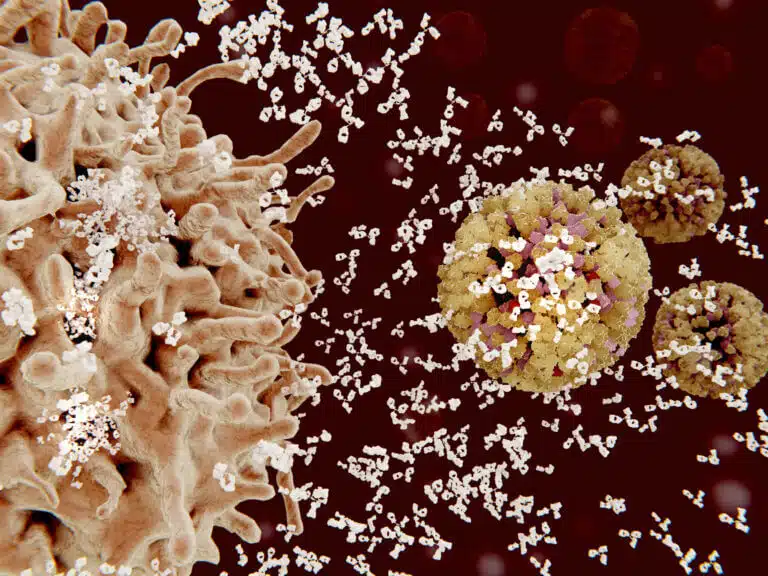 خلايا البلازما - الخلايا البائية في الجهاز المناعي تهاجم الفيروسات. الرسم التوضيحي: موقع Depositphotos.com