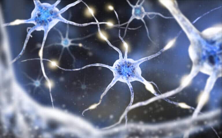 neurons. Illustration: depositphotos.com