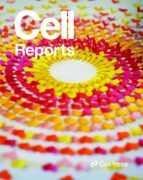 תמונת השער שנבחרה לעיתון המדעי CELL REPORTS- קרדיט: עיצוב התמונה צפנת עוזרי וצילום אבי לוין