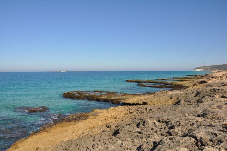 You can find grouping tables on about 10 percent of Israel's beaches. Photo: Rilov Laboratory