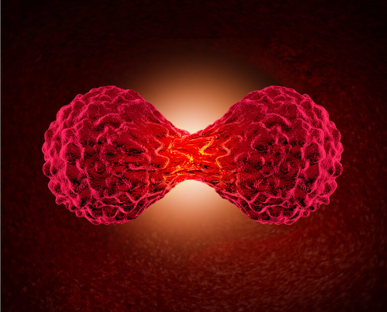 A cancer cell divides. Illustration: depositphotos.com