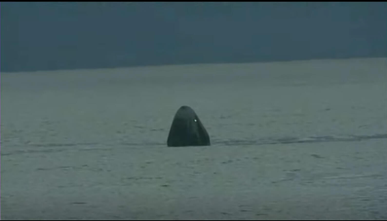 The landing of the SpaceX crew Dragon spacecraft on the first all-civilian mission. Screenshot