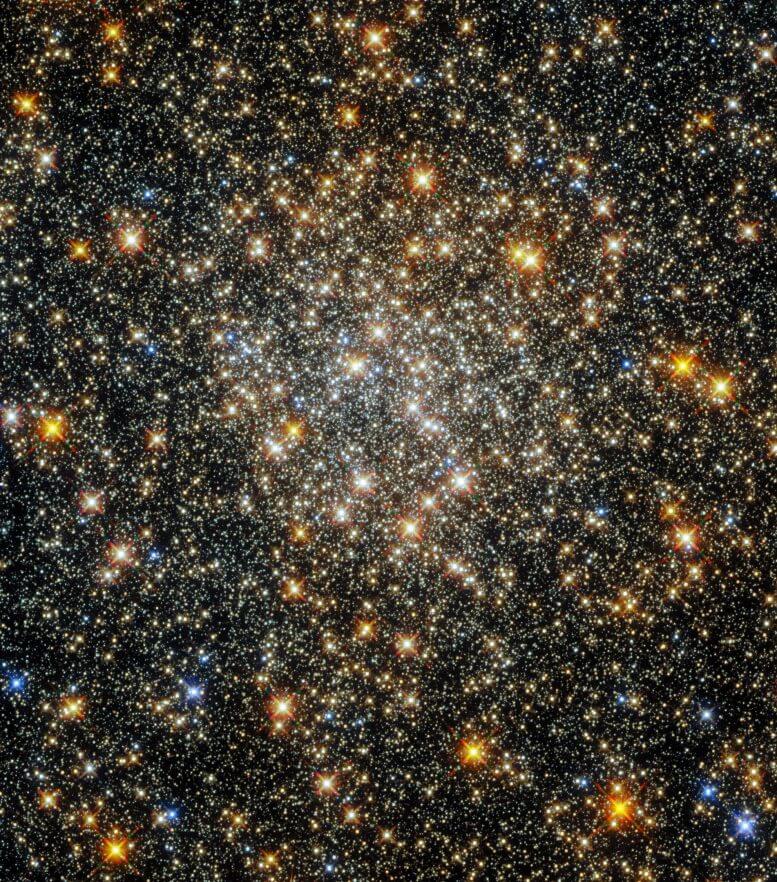 תמונה מטלסקופ החלל האבל של שדה כוכבים מנצנץ שמכיל את הצביר הכדורי ESO 520-21 (שנקרא גם פלומר 6).  Credit: ESA/Hubble and NASA, R. Cohen