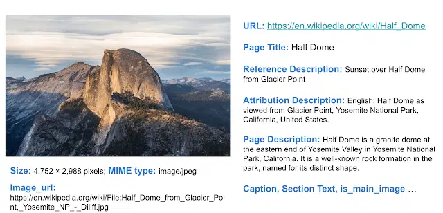 דוגמה לניתוח תמונה והקשר מויקיפדיה עבור פרויקט WIT של גוגל AI. צילום יחצ