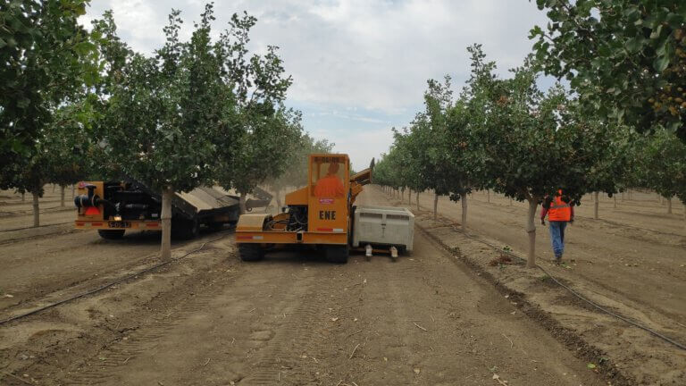 Eidit's robotic pollination system at the Pistachio Farm in California. Image courtesy of Idit.