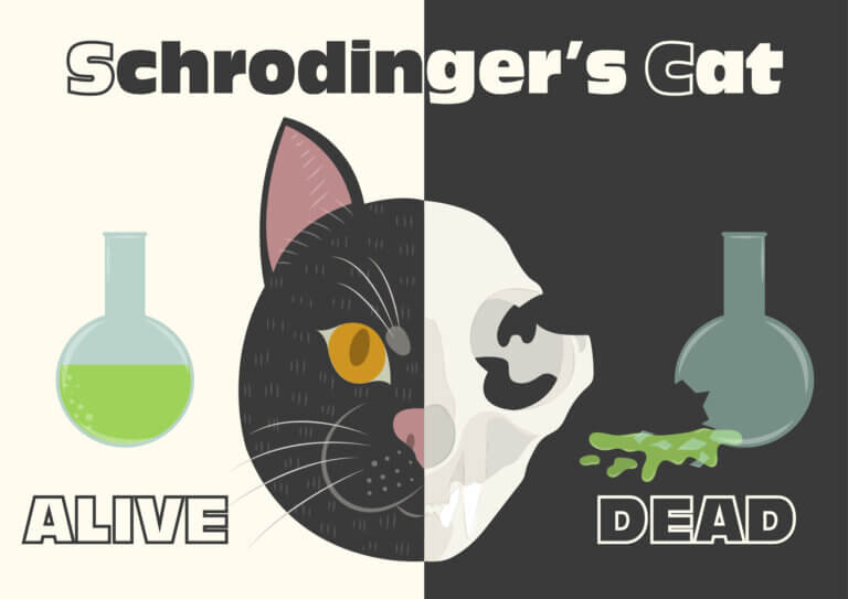 Schrödinger's cat. Illustration: depositphotos.com