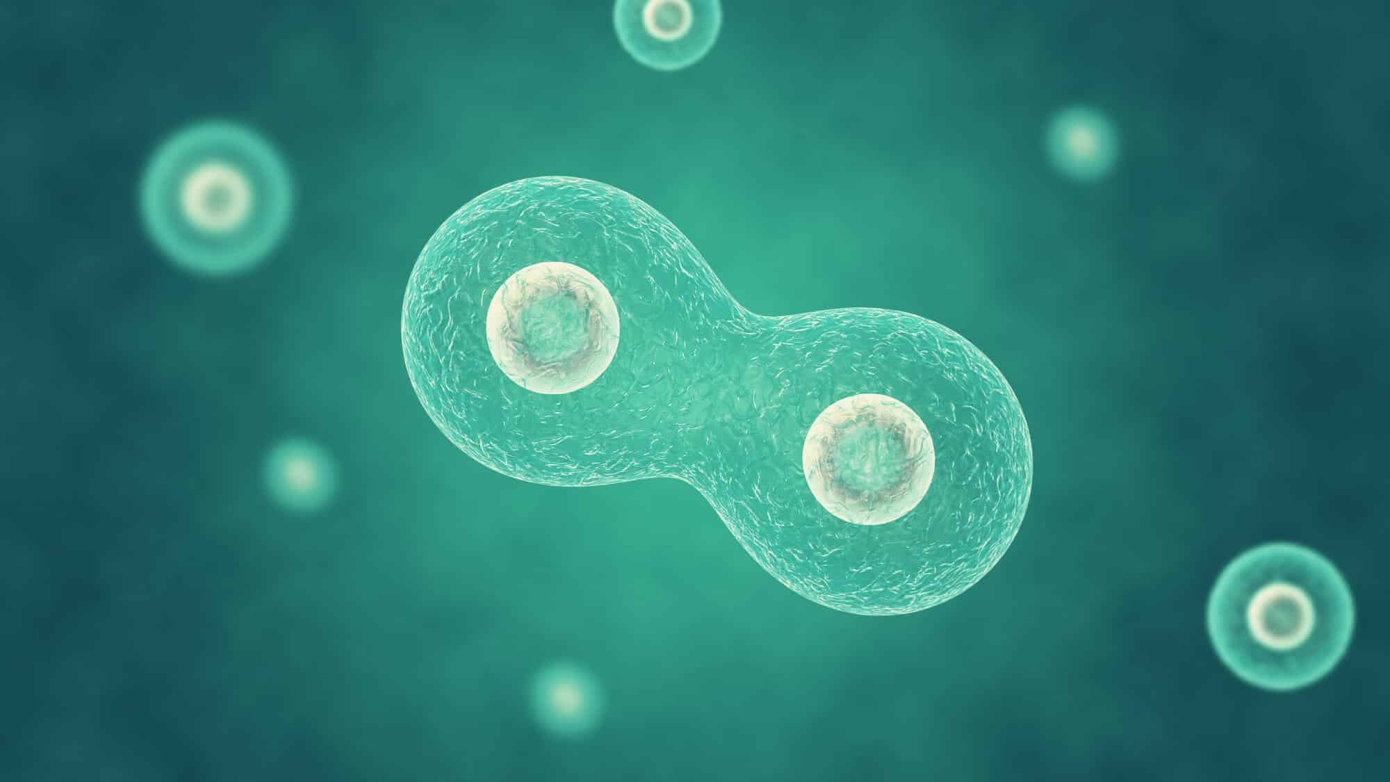 A simple mechanism could explain the growth and self-replication of protocells - the putative ancestors of modern living cells, illustration: depositphotos.com