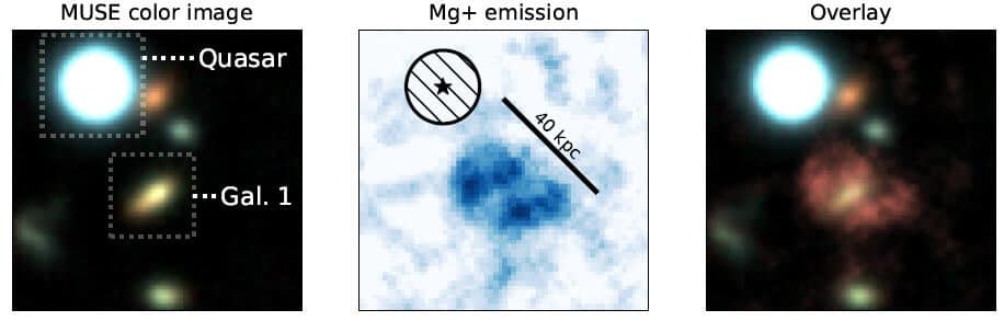 Observation of part of the universe thanks to MUSE. Left: A comparison of the quasar and the galaxy studied here, Gal1. In the center: a nebula composed of magnesium labeled with a scale. Right: Merge of the nebula and the Gal1 galaxy in one image. Credit: © Johannes Zabl