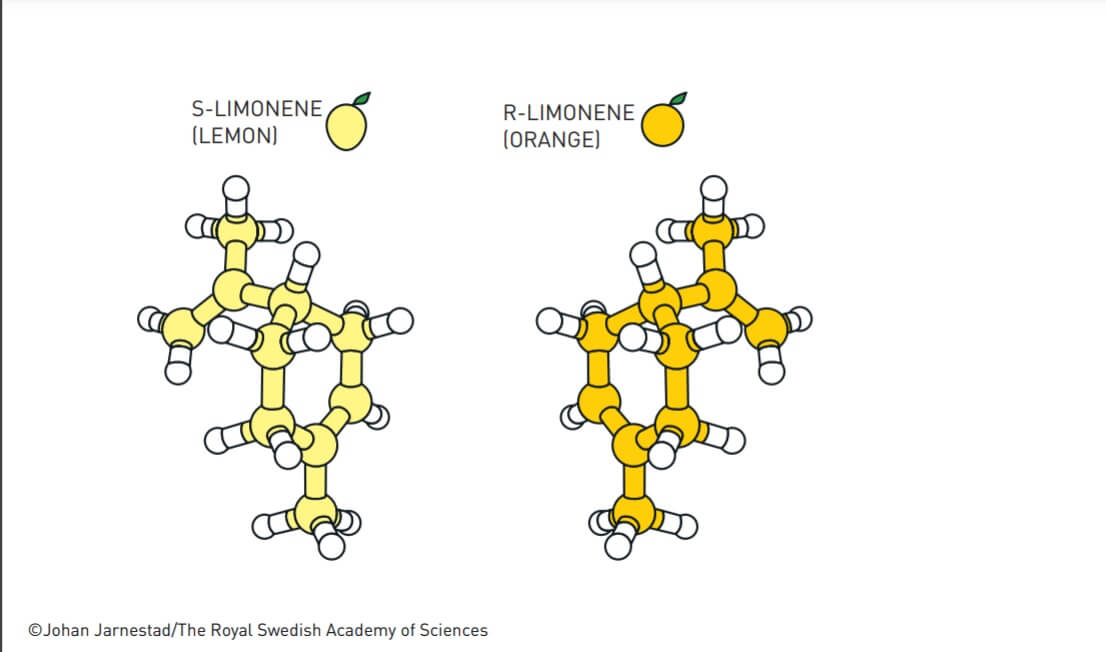 Infographic: Nobel Prize Committee for Chemistry 2021.