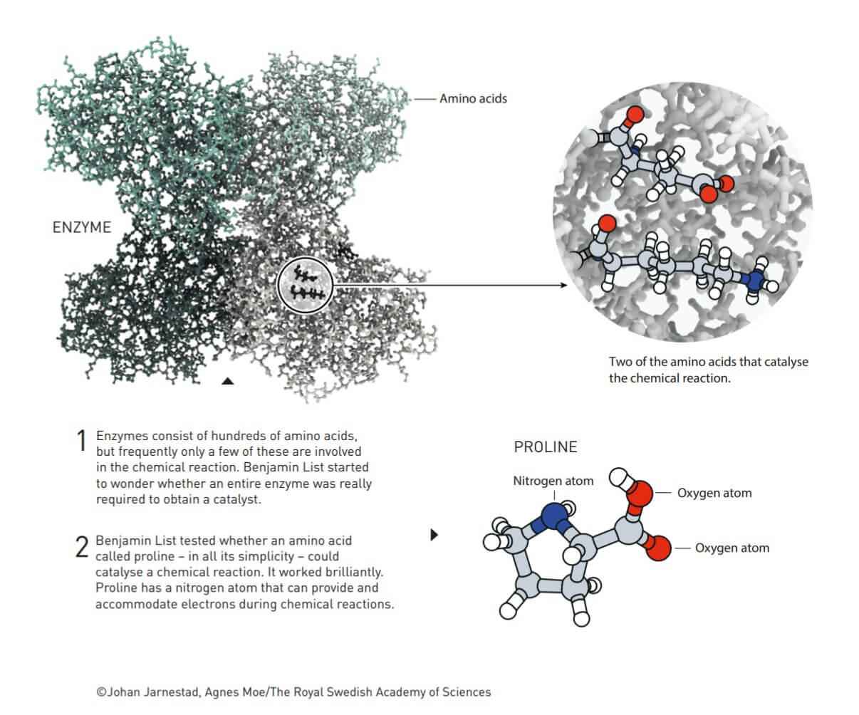 Infographic: Nobel Prize Committee for Chemistry 2021.