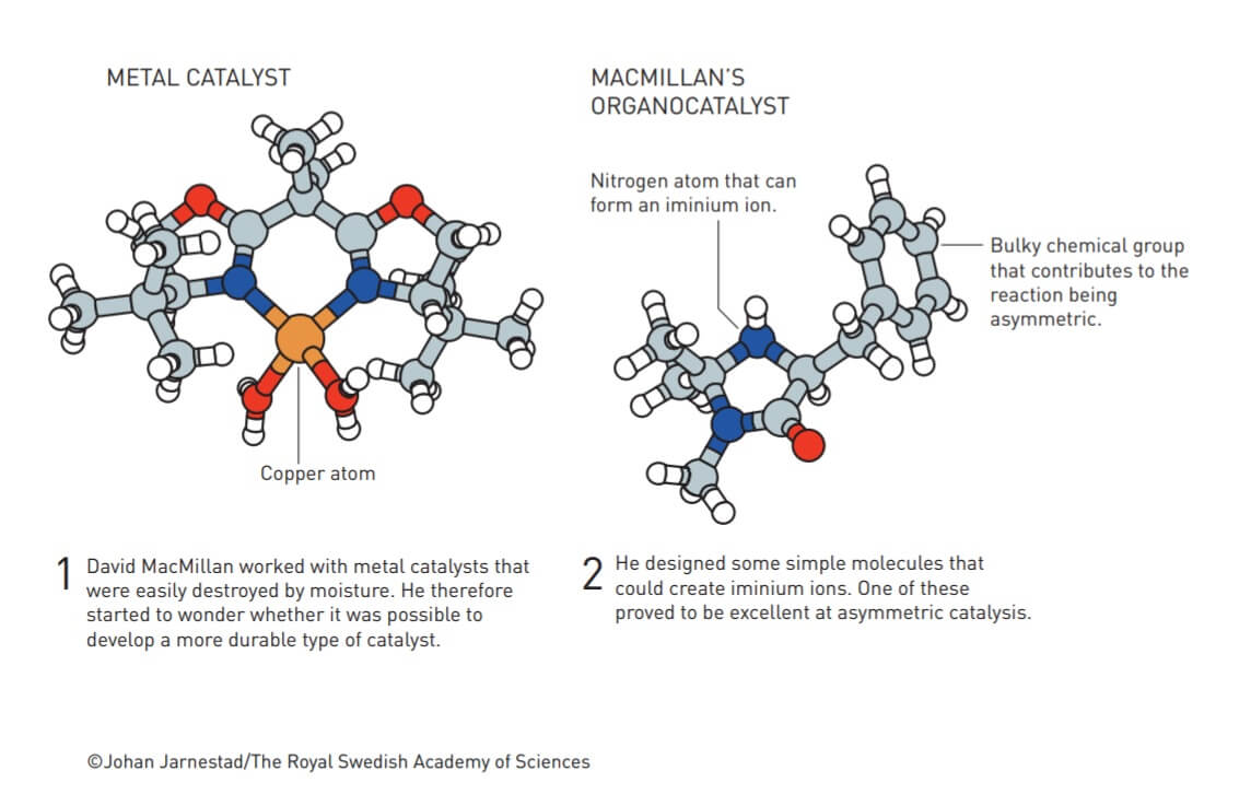 Infographic: Nobel Prize Committee for Chemistry 2021.