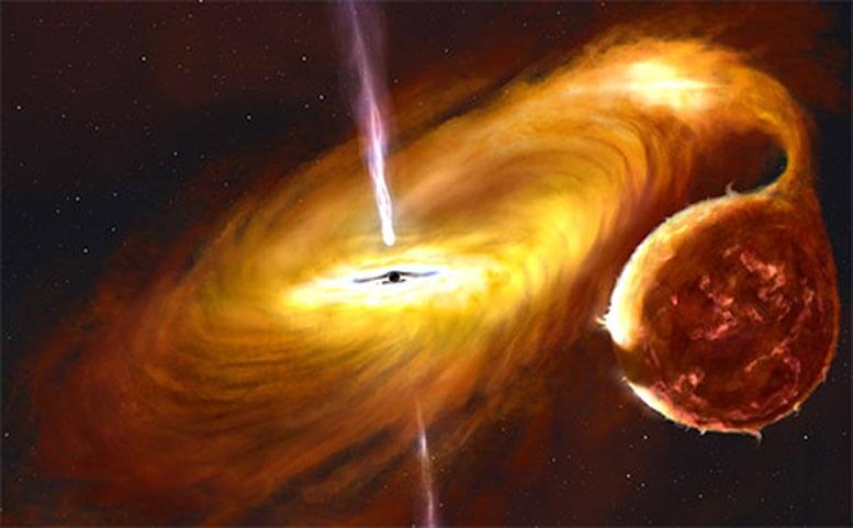 A black hole with a warped disk. Credit: John Paice