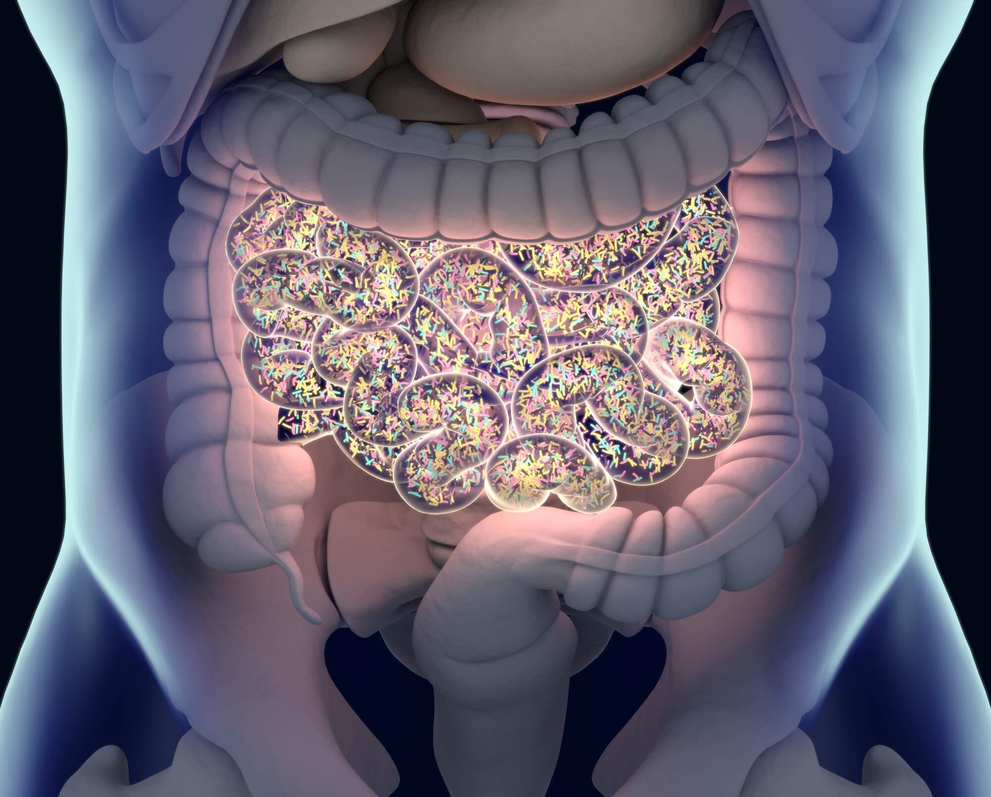 Intestinal bacteria. Illustration: depositphotos.com