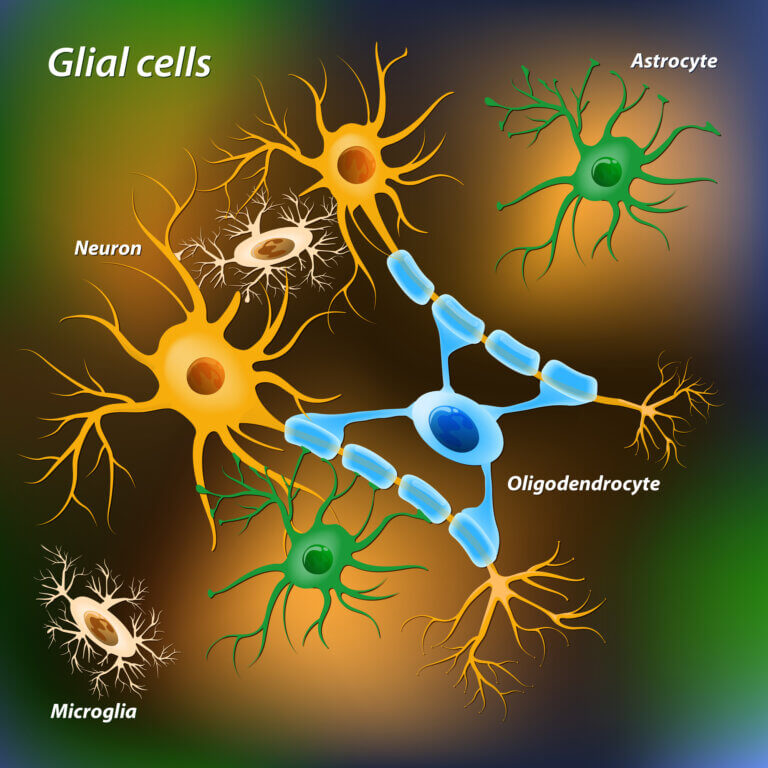 glial cells. Illustration: depositphotos.com