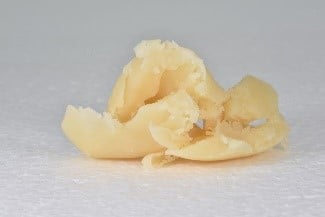 The oil extracted from the larvae of the black soldier fly. Photo: Biovi Sde Eliyahu company