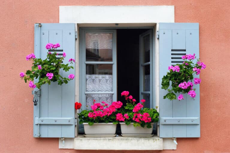 סידור פרחים על אדן חלון בבורגונדי, צרפת. המחשה: depositphotos.com