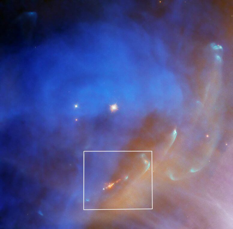 האבל לכד סילון בהיר מכוכב שנוצר לאחרונה בתמונה הזאת של ערפילית האיש הרץ (NGC 1977). קרדיט: NASA, ESA, and J. Bally (University of Colorado at Boulder) עיבוד: Gladys Kober (NASA/Catholic University of America)