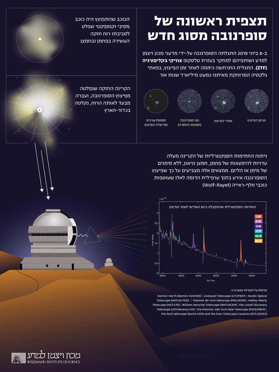 supernova Infographic, Itai Neve, Weizmann Institute