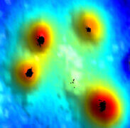 "מפה טופוגרפית" של מקטע על פני השטח של תא T. האזורים האדומים הם האצבעות הגמישות המתוארות במאמר (ככל שהצבע חם יותר, כך האזור המסומן גבוה יותר). קולטני CCR7 (בשחור) ממוקמים בנקודות הגבוהות ביותר על פני האצבעות