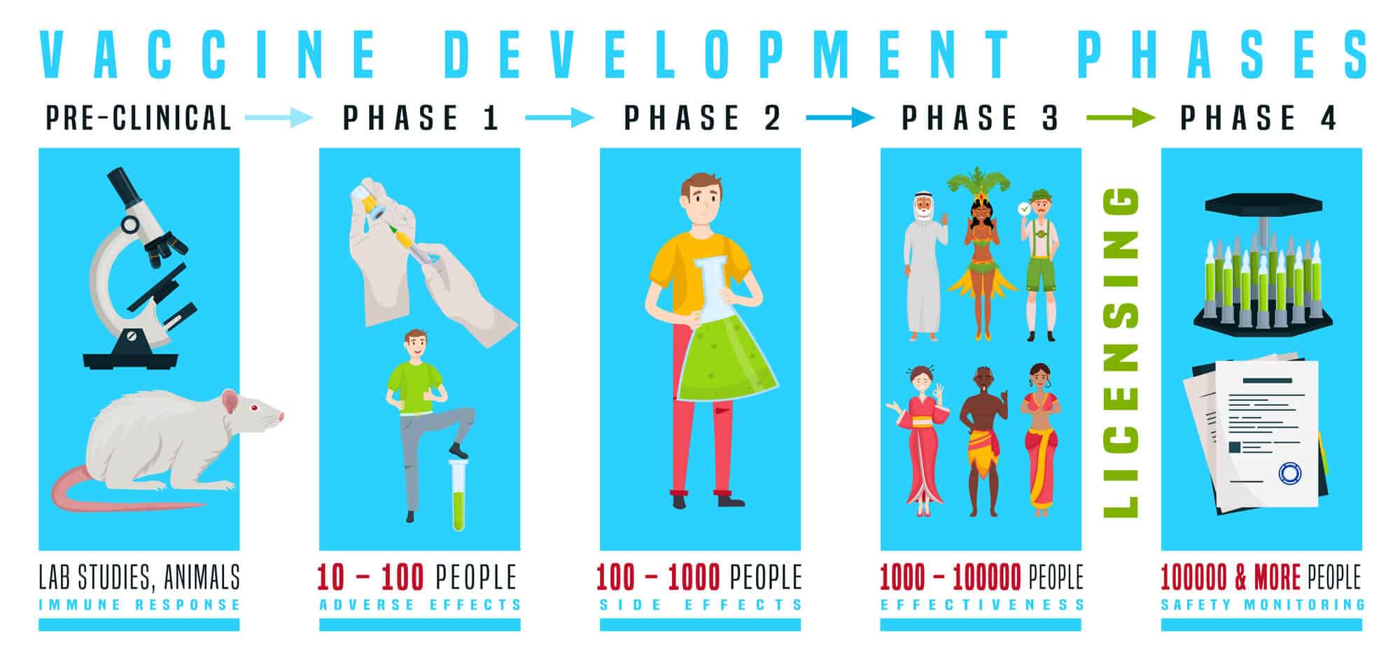 The different stages of clinical trials in a vaccine (or drug). Illustration: depositphotos.com