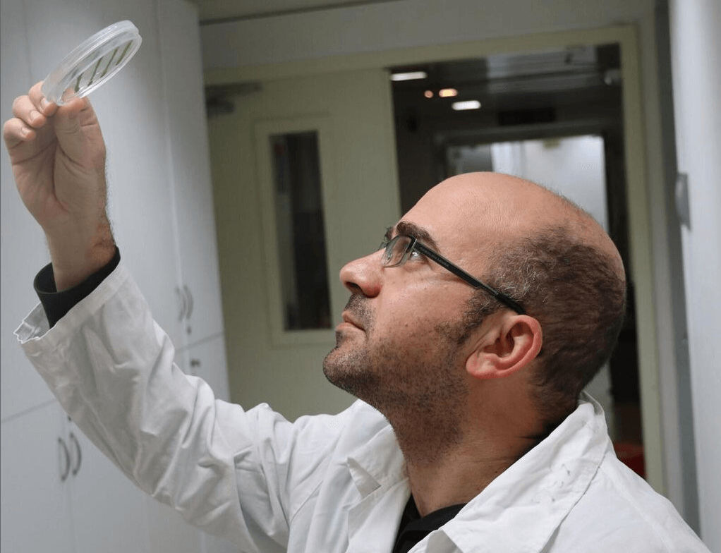 Dr. Chaim Treves and Chlorella Ohadi algae (photo: Tel Aviv University)