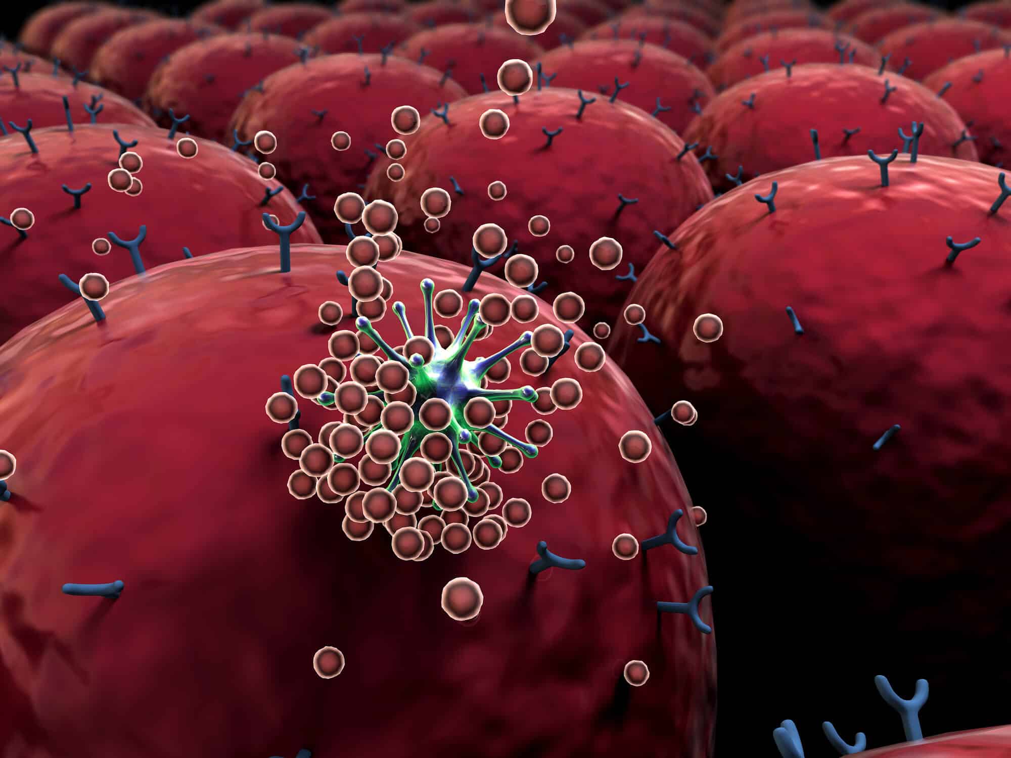 Immune system cells fight viruses. Illustration: depositphotos.com