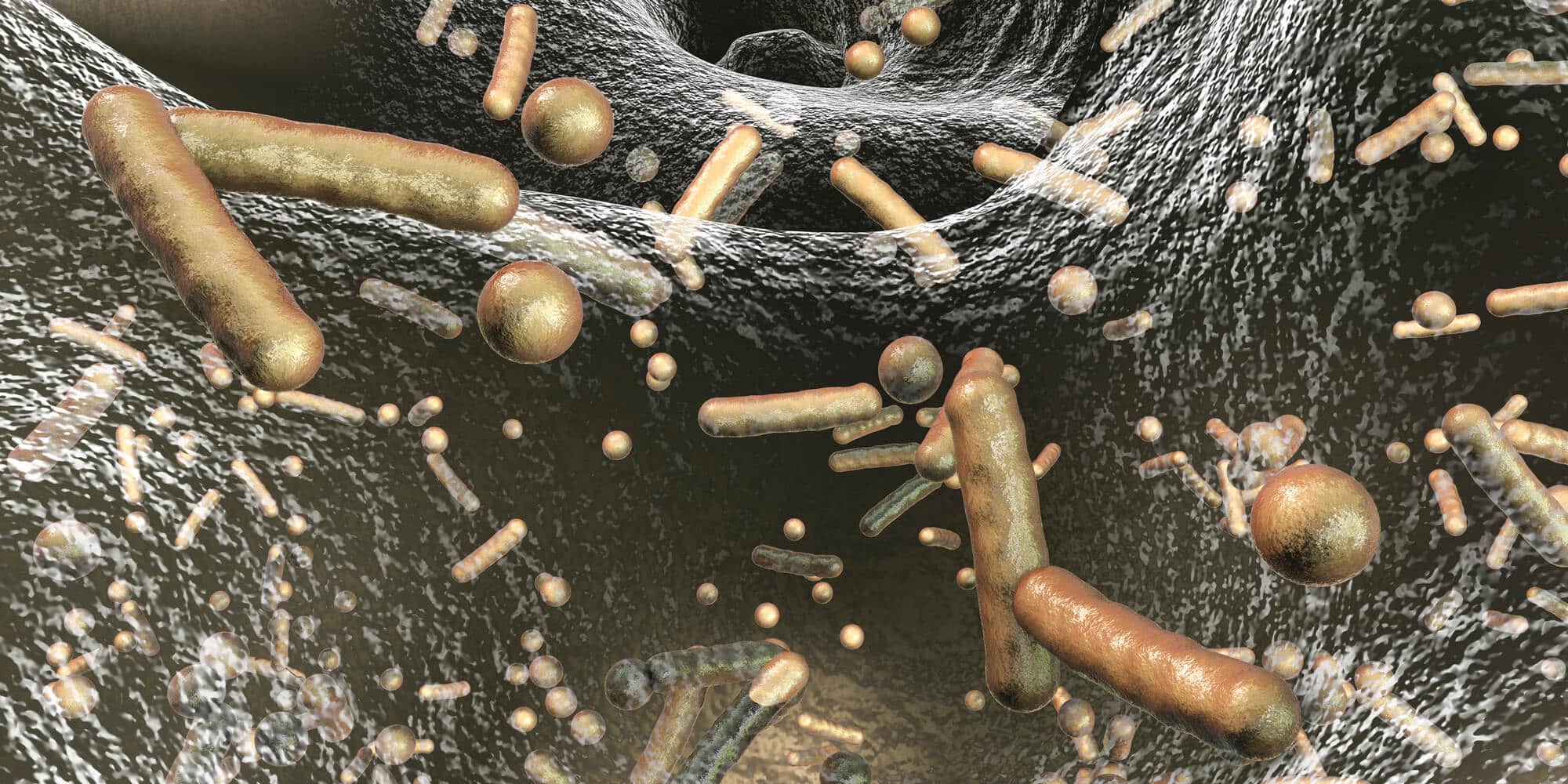 البكتيريا مقاومة للمضادات الحيوية. الرسم التوضيحي: موقع Depositphotos.com