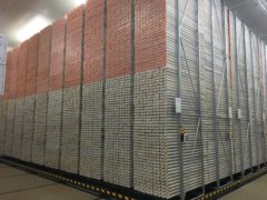 החוקרים מוציאים מבטן האדמה גלעיני קידוח – גלילים באורך משתנה של כמה מטרים, שמורכבים משכבות כהות ובהירות בעובי מילימטרים בודדים, הנקראות למינות. צילום: מוטי שטיין