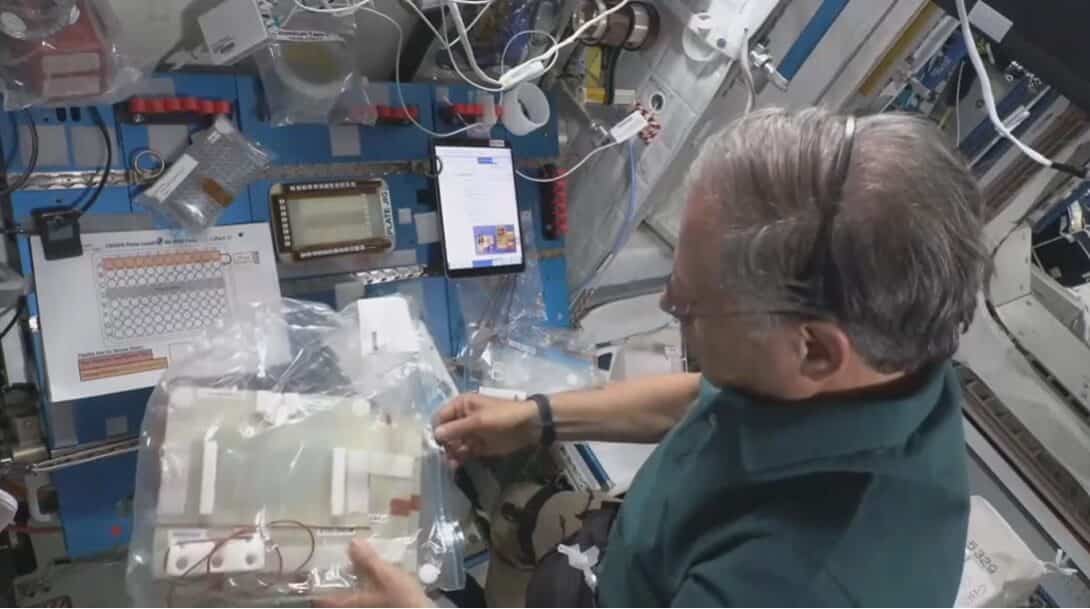 Eitan Stiva performs the Israeli CRISPR experiment on the International Space Station. From NASA TV