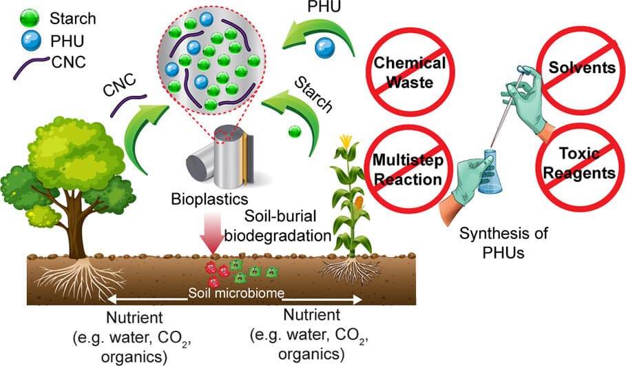 Diagram describing the production process of the innovative plastic inspired by the lotus plant. Courtesy of the researchers