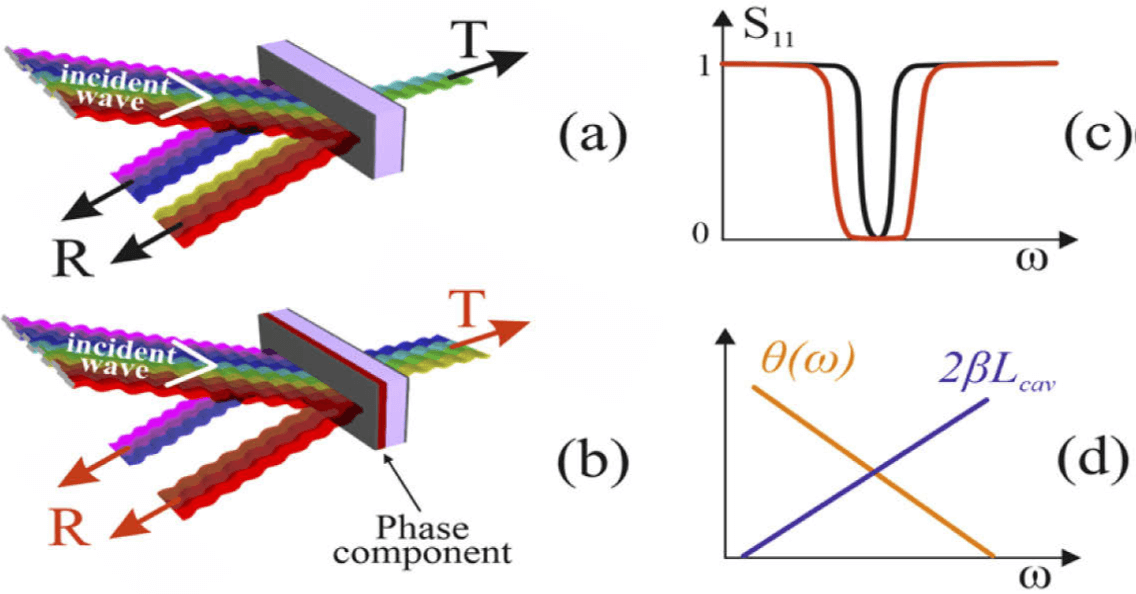 From the research of Prof. Kobi Shuyer and Prof. Pavel Ginzburg, Tel Aviv University