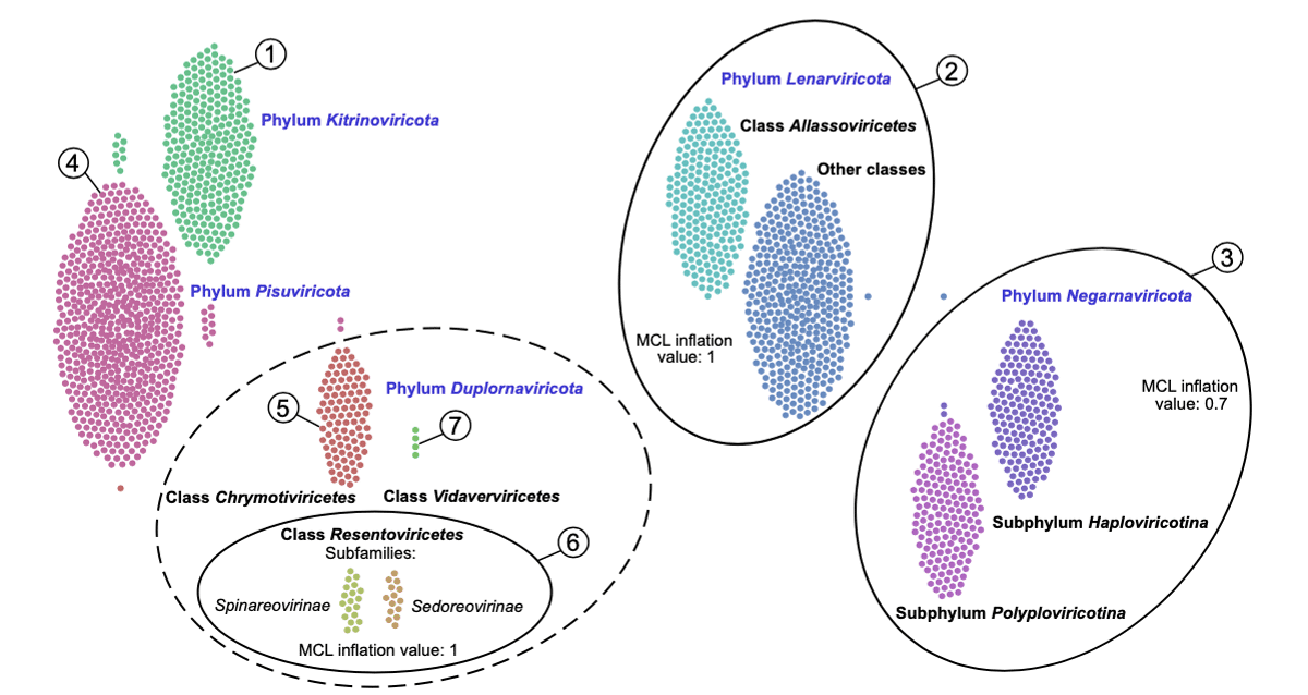  התרשים הזה מראה את חמש המערכות של נגיפי RNA שהיו ידועות קודם מסודרות אוטומטית לפי השיטות שלנו. מועתק ברשות מ-Zayed et al., Science Volume 376:156(2022)
