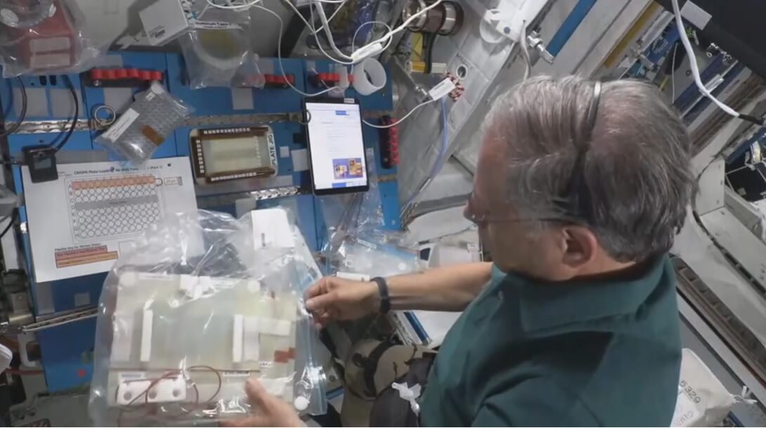 איתן סטיבה מבצע את ניסוי הקריספר הישראלי בתחנת החלל הבינלאומית. מתוך הטלוויזיה של נאסא