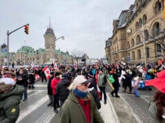 הפגנת ענק נגד מגבלות קורונה ונגד חיסונים בו זמנית באווטווה בירת קנדה, פברואר 2022. צילום: depositphotos.com