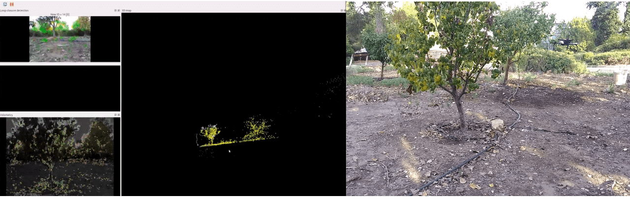 החוקרים גילו שכשמשתמשים בנקודת מבט של רחפן נמוך, אפשר להיעזר בשוני בתצורה של חופות העצים שלצד הרובוט כדי לזהות את מיקומו. צילום: המעבדה לרובוטיקה אזרחית סביבתית וחקלאית בפקולטה להנדסה אזרחית וסביבתית, בטכניון