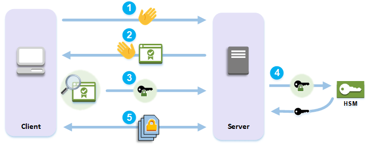 Diagram 2: Secure access to the server using the HTTPS protocol based on TLS/SS, the key is securely stored in the HSM