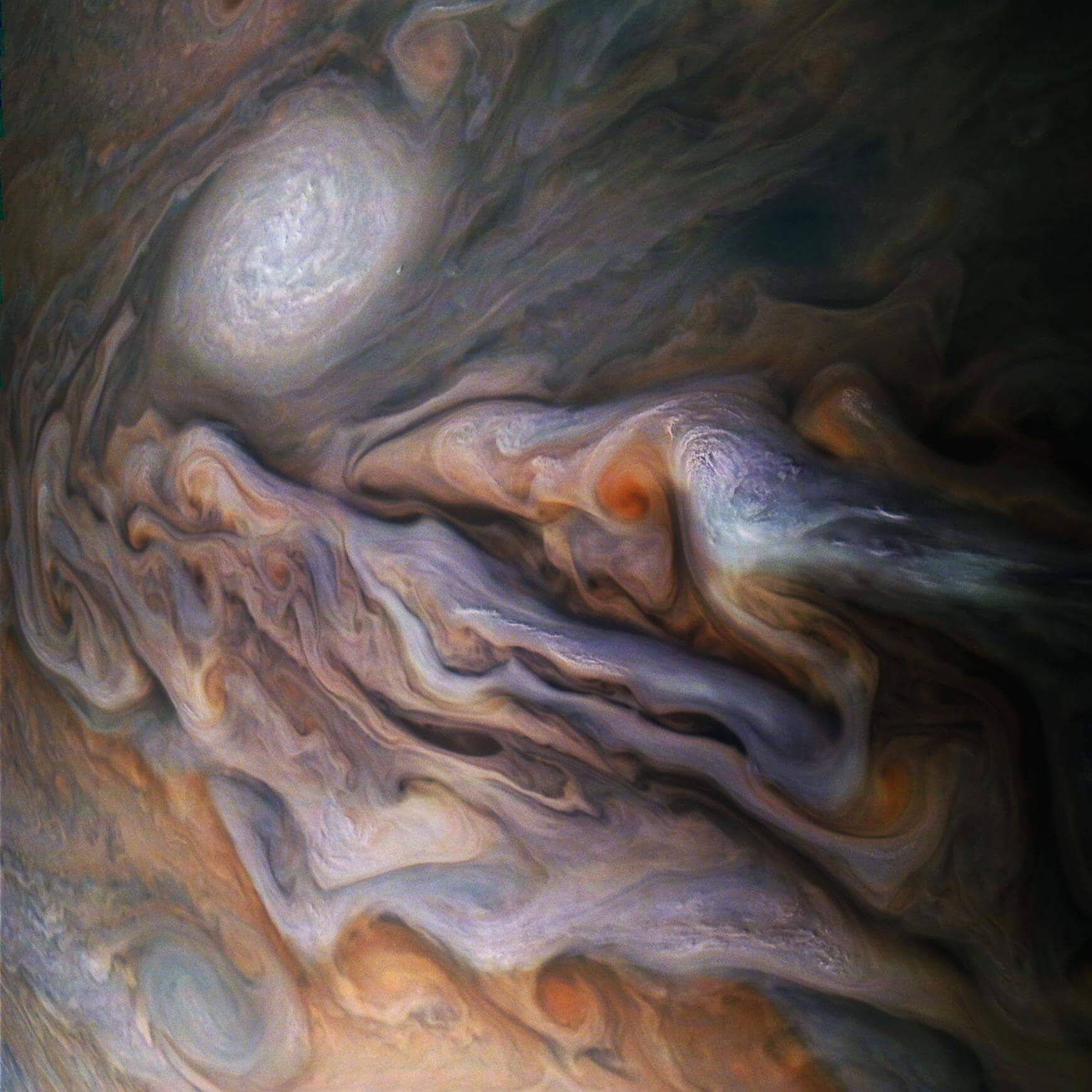 This image from the Juno spacecraft captures many swirling clouds in Jupiter's dynamic north-northern temperate belt. Credit: courtesy of NASA/JPL-Caltech/SwRI/MSSS