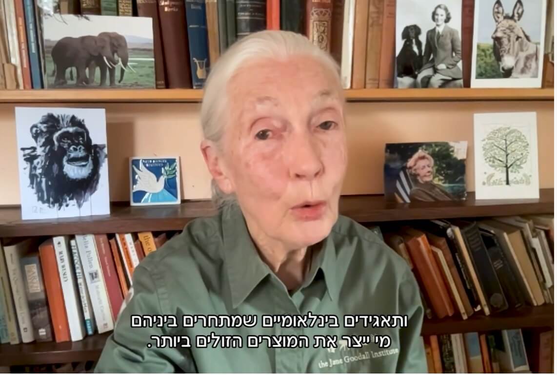 الدكتورة جين غودال، سفيرة الأمم المتحدة للسلام والناشطة البيئية التي اشتهرت بعملها الرائد مع الشمبانزي في الستينيات في محاضرة أمام جمعية البيئة الإسرائيلية. تصوير الشاشه