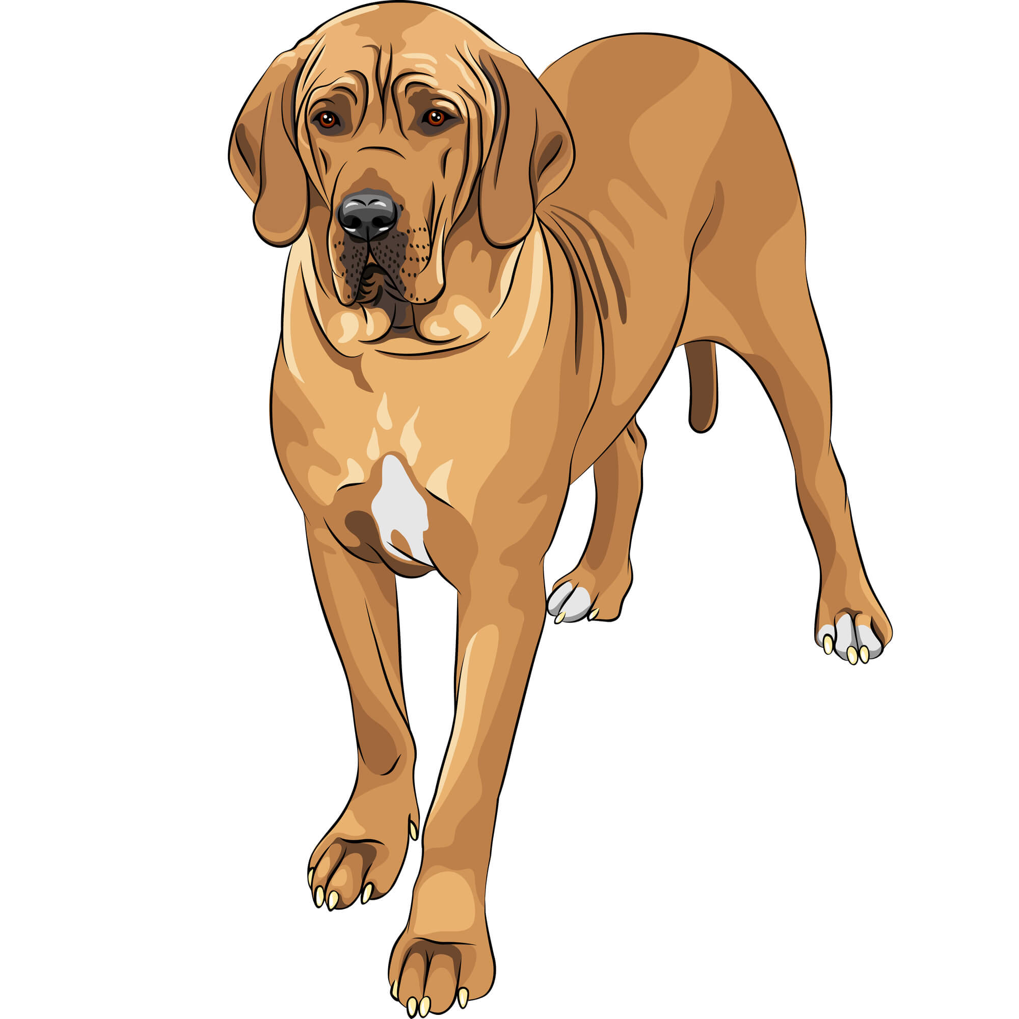 כלב דני ענק. <a href="https://depositphotos.com. ">איור: depositphotos.com</a>