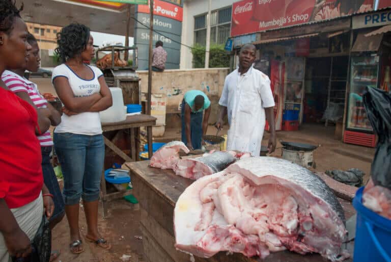 דוכן למכירת דגי נסיכת הנילוס בקמפלה בירת אוגנדה. איור: depositphotos.com