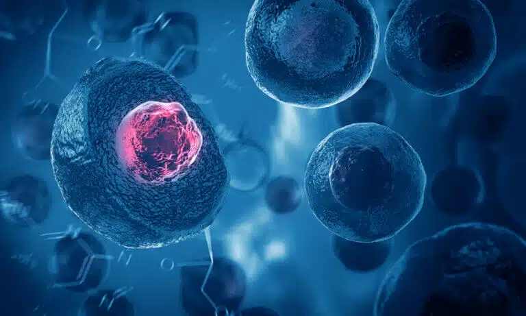 الخلايا الجذعية الجنينية. الصورة: موقع إيداع الصور.com