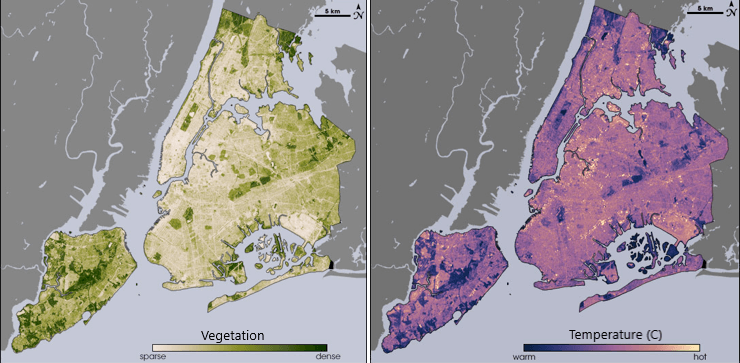     שתי מפות של ניו יורק מראות כיצד הצמחייה מתאימה לאזורים קרירים יותר לפי טמפרטורה. השוואת מפות של הצמחייה והטמפרטורה של ניו יורק מראה את ההשפעה המקררת של פארקים ושכונות עם יותר עצים. NASA/USGS Landsat