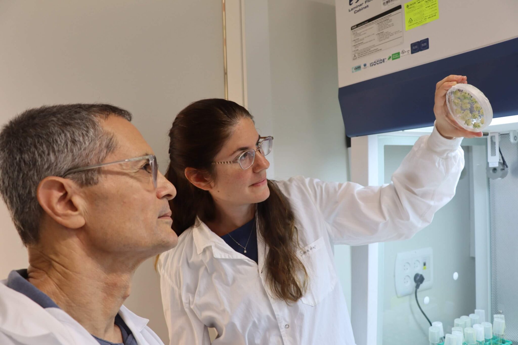 In Prof. Amir Sharon's laboratory at Tel Aviv University, three genes were isolated from wild wheat that acquired resistance to cultivated wheat. Photo: Tel Aviv University