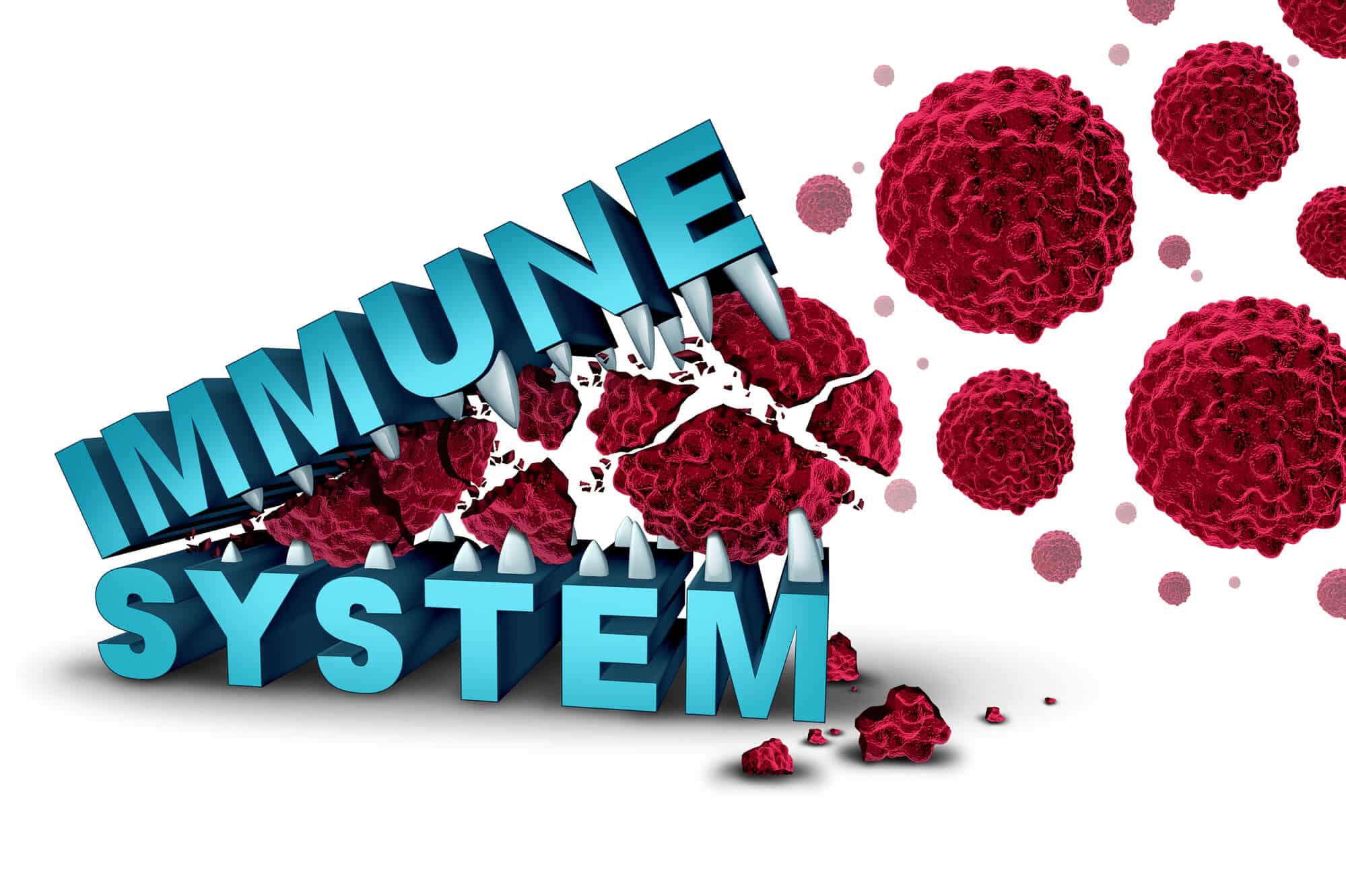 immune system. Image: depositphotos.com