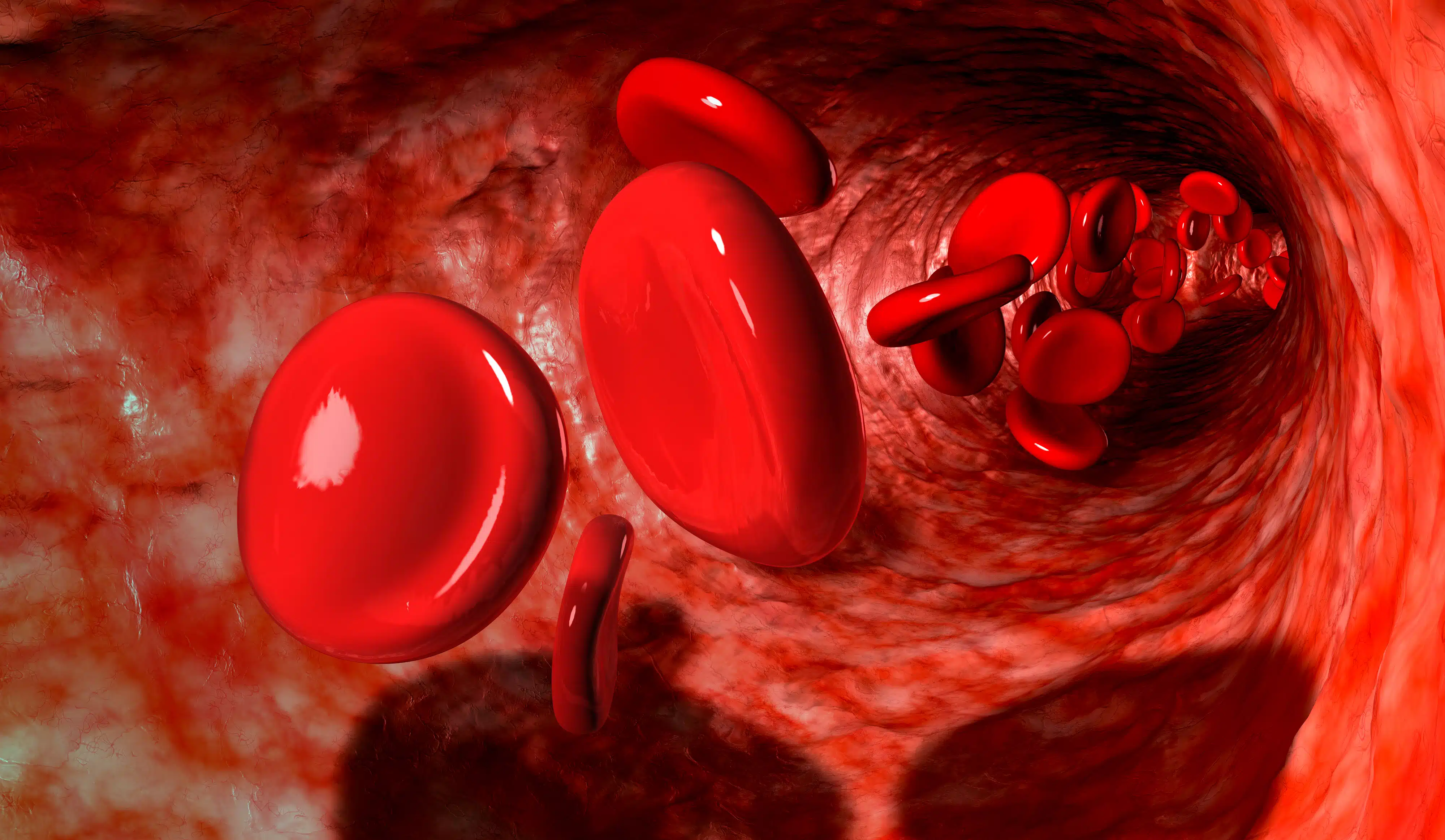 Red blood cells in a vein (illustration) Image: depositphotos.com