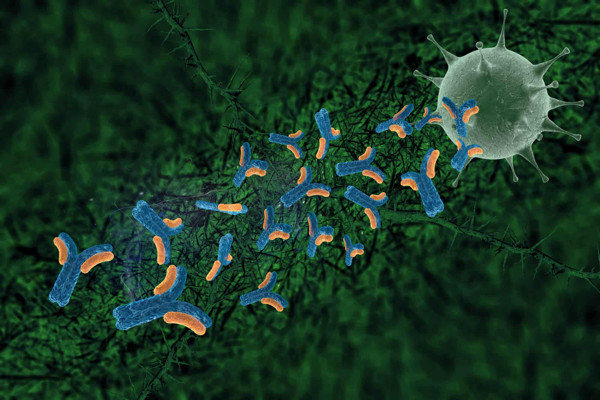 Antibodies attack a virus. Image: depositphotos.com